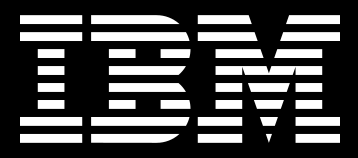 IBM logo